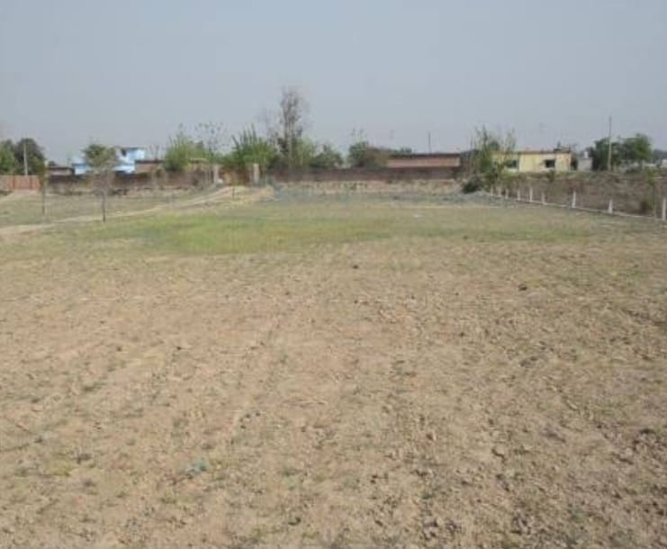 residential plot