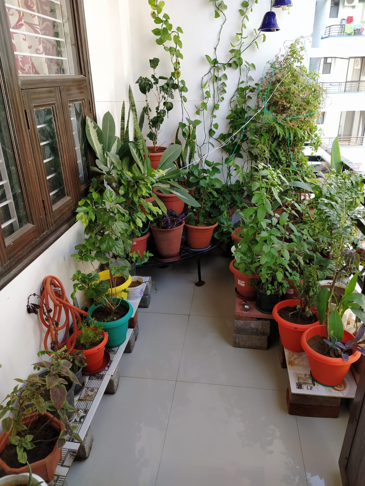 Ayodhya Nagar, Bhura Patel Marg,