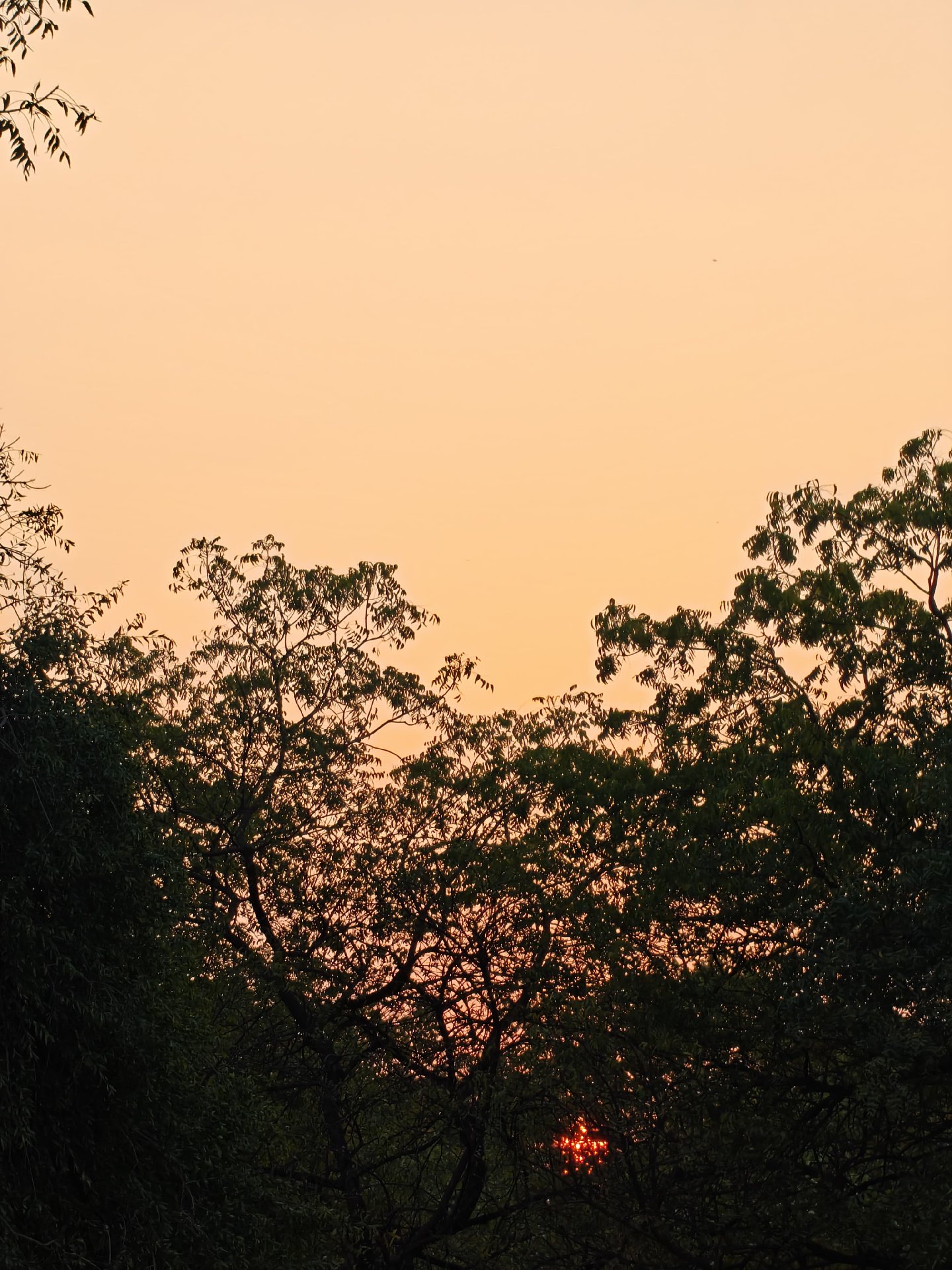 pg for girls in kamdar colony