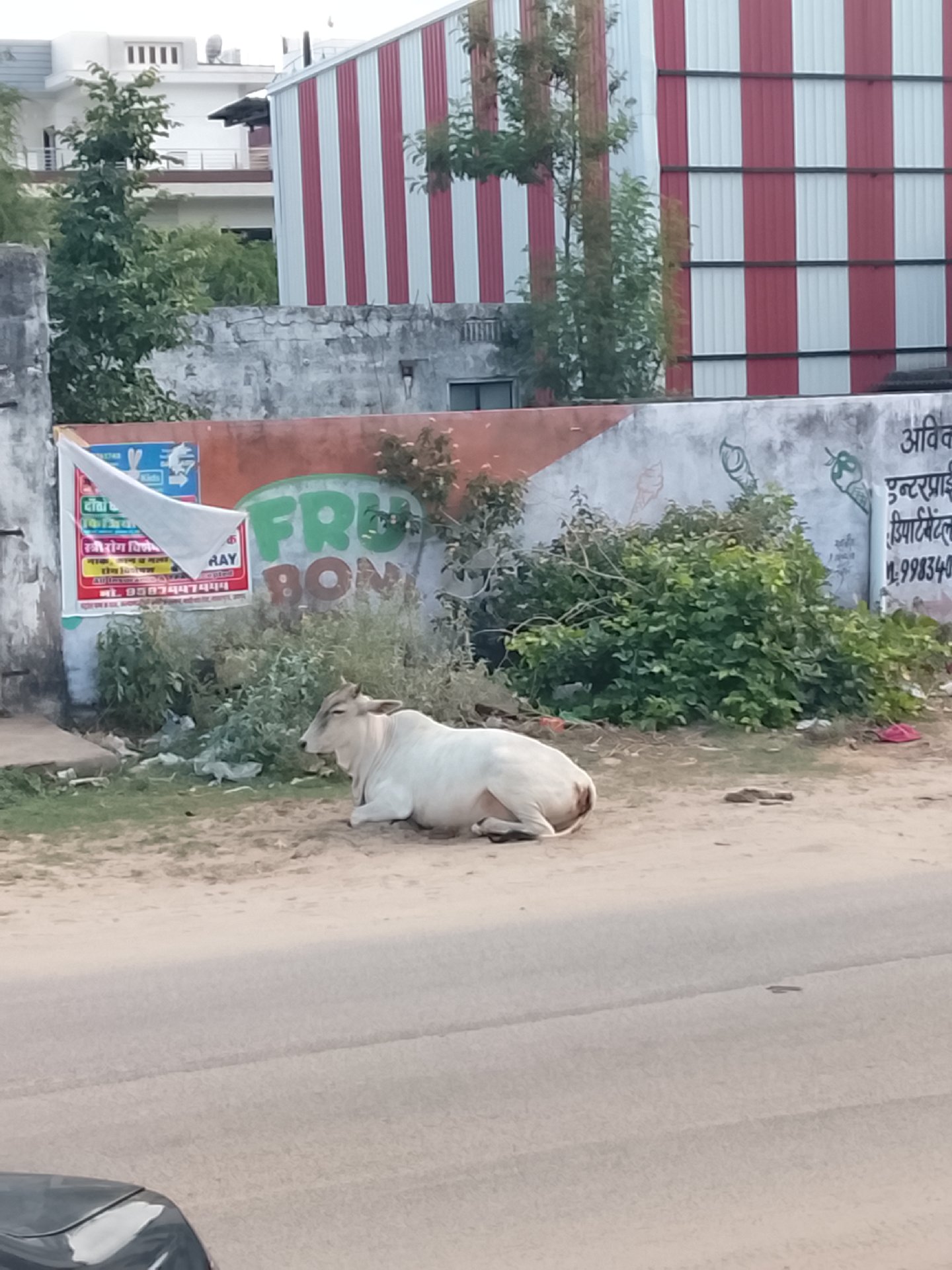 Infront of shalby hospital on Gandhi path on 100 feet road,
